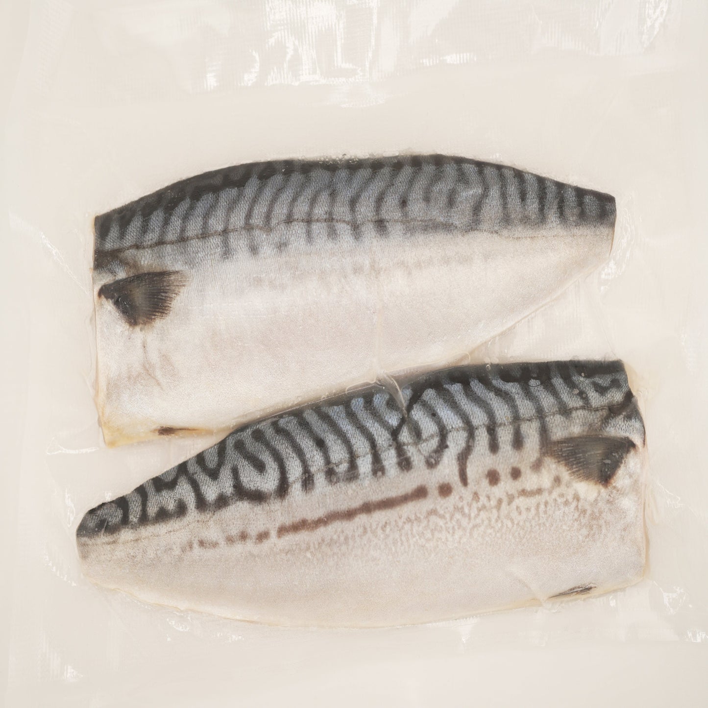 調理済み塩サバフィレ- Cooked Salted Mackerel Fillet